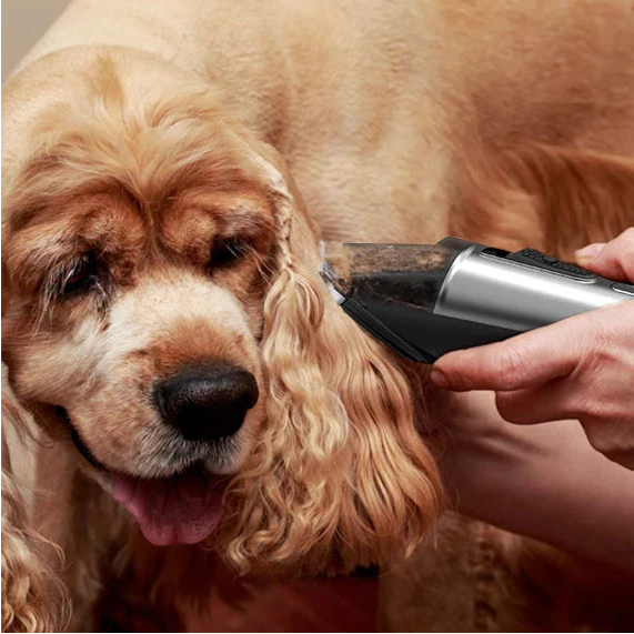Professional dog clipper — Titanium blades & quiet motor